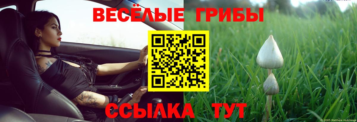 Назарово  Псилоцибиновые грибы Cubensis  Вход с VPN 